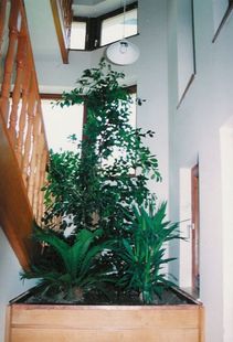 Elado_ingatlan_11_kerulet